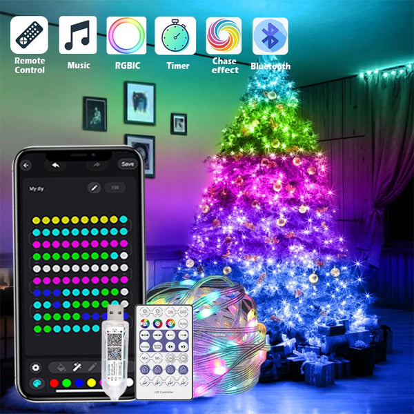 Smart RGB Christmas Lights
