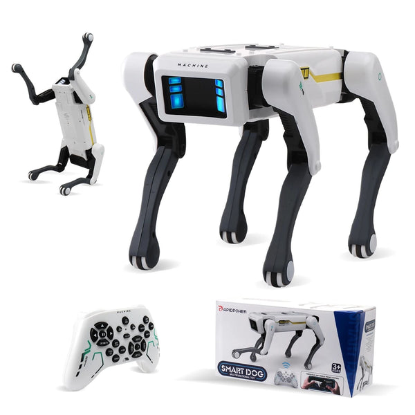DogBot Smart Playmate