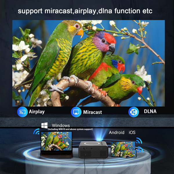 Pocket-Sized Movie Magic